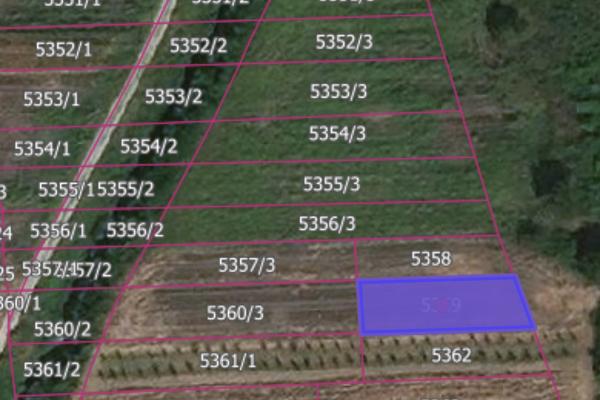 prodaja, plac,
banja-vrdnik-opstina-irig, 335870, vrdnik