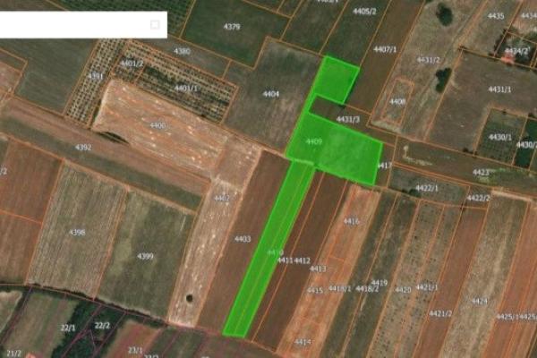 prodaja, plac,
koracica-mladenovac-beograd, 339067, koracica