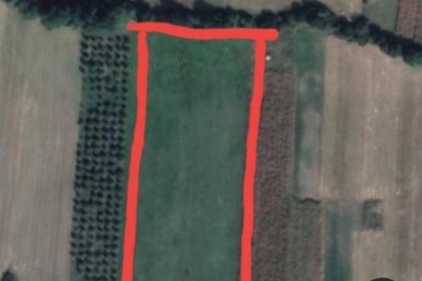 prodaja, plac,
koracica-mladenovac-beograd, 339097, koracica