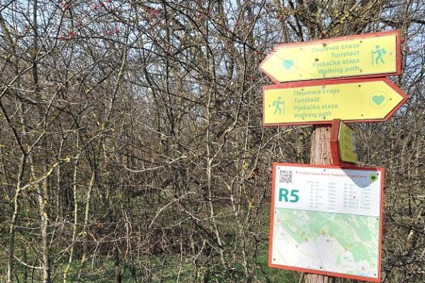 prodaja, plac,
srpski-sor-grad-subotica, 344539, 11-nova