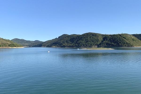 prodaja, plac,
kokin-brod-opstina-nova-varos, 352537, kokin-brod