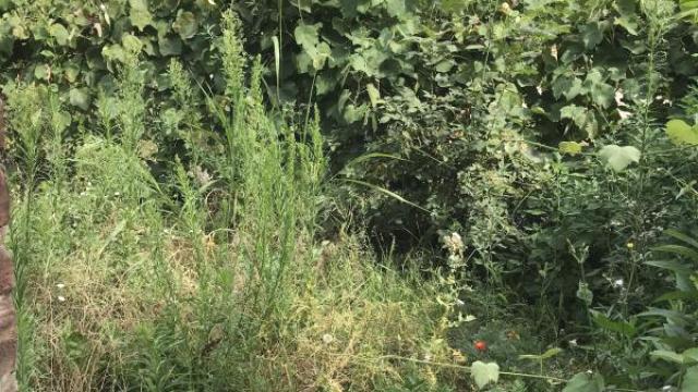 Stan, Jednoiposoban, Prodaja, 39m2, Okolno mesto, Sombor