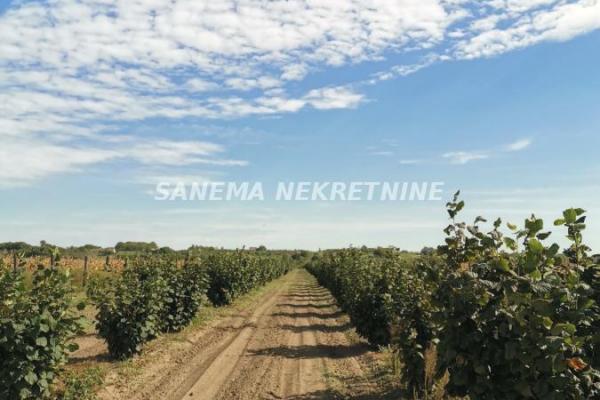 prodaja, plac,
kljajicevo-opstina-sombor, 357358, plac