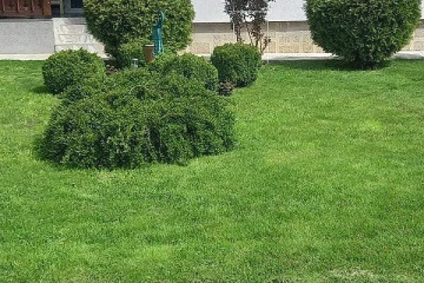 prodaja, kuca,
cacak, 359274, trosoban-ulica-600