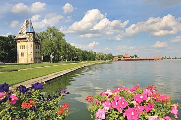 prodaja, plac,
palic-opstina-subotica, 359509, novosadski-put