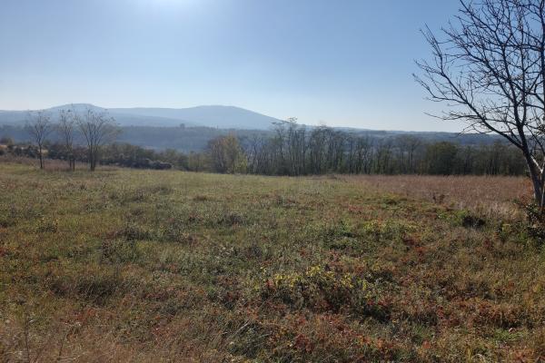 prodaja, plac,
sopot-beograd, 360314, selo-djurinci-beogradska-bb