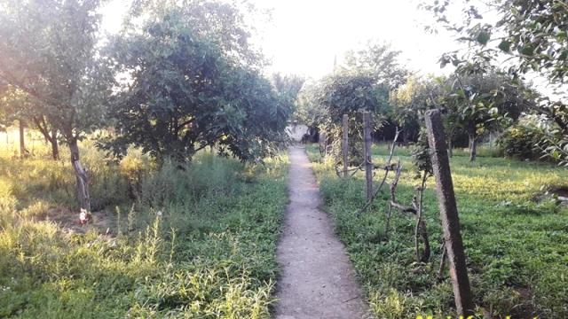 Kuća, Prodaja, 246m2, Novi Banovci, Okolno mesto, Bosanska