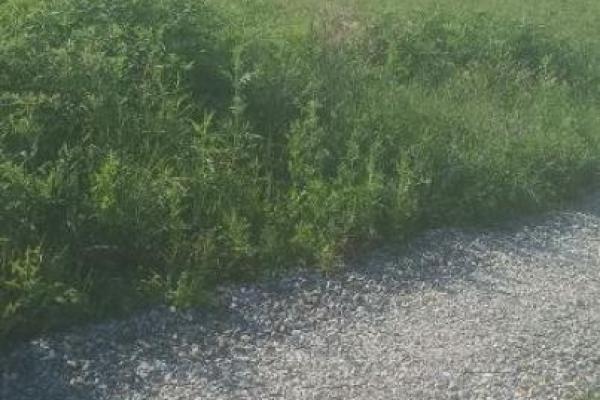 prodaja, plac,
avala-sopot-beograd, 379003, put-za-bare