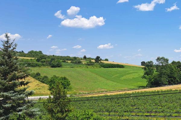 prodaja, plac,
vodice-opstina-smederevska-palanka, 379105, kralje-petra-prvog-karadjordjevica