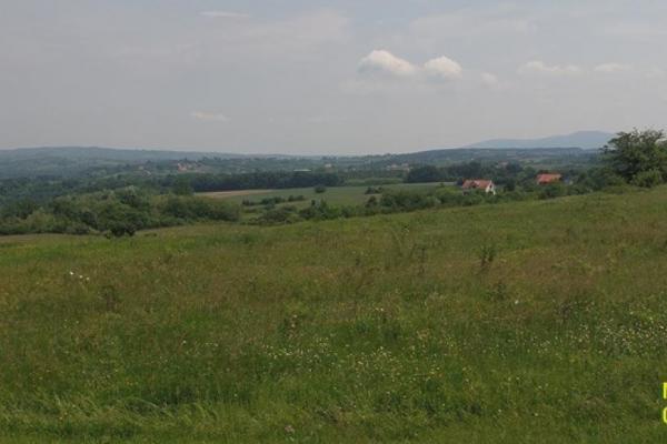 prodaja, plac,
manic-barajevo-beograd, 380937, put-za-kosmaj