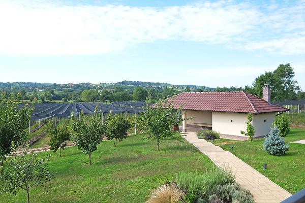 prodaja, plac,
kosmaj-sopot-beograd, 381049, kosmaj