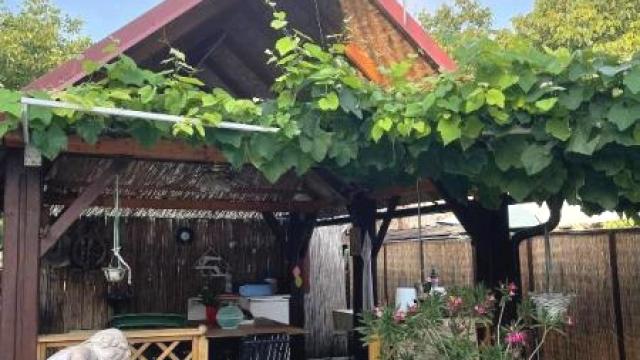 Kuća, Prodaja, 425m2, Novi Slankamen, Okolno mesto, Živojina Mišića