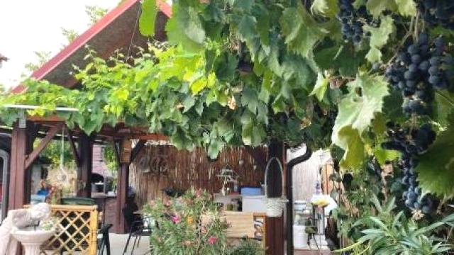 Kuća, Prodaja, 425m2, Novi Slankamen, Okolno mesto, Živojina Mišića