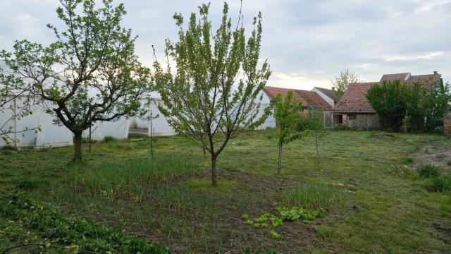 Kuća, četvorosoban, Prodaja, 230m2, Pere Segedinca