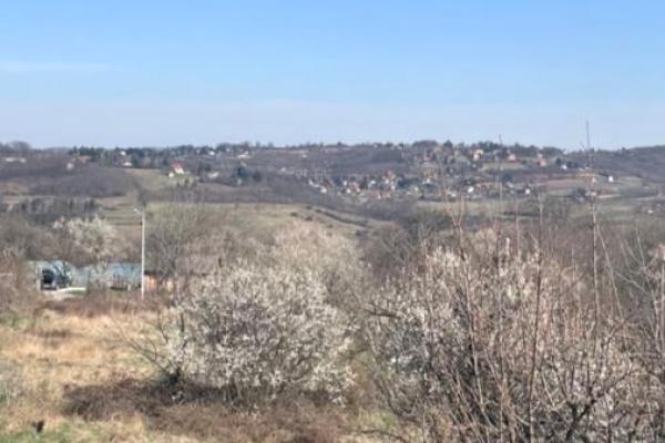 prodaja, plac,
ripanj-vozdovac-beograd, 381002, plac