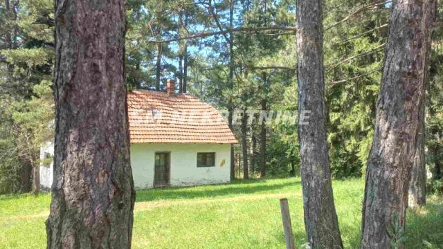 Plac, Prodaja, m2, Divčibare, Okolno mesto, Valjevo