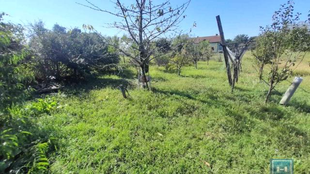Kuća, Trosoban, Prodaja, 64m2, Ribare, Okolno mesto, Jagodina