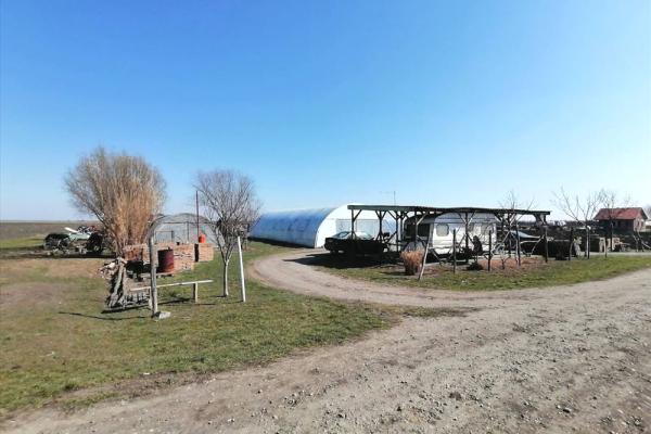 prodaja, plac,
jabuka-opstina-pancevo, 431416, plac-od-115-ari-u-jabuci-pancevo