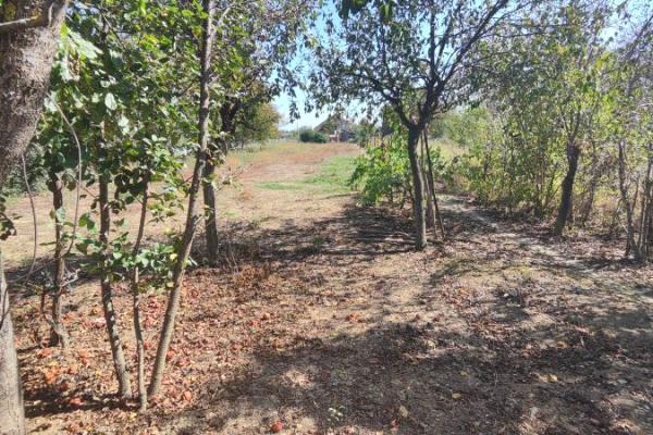 prodaja, plac,
kupusara-grad-jagodina, 434167, plac