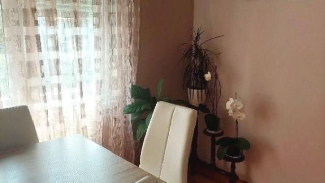 Stan, Dvosoban, Prodaja, 53m2, Karaburma, Palilula, Maljenska