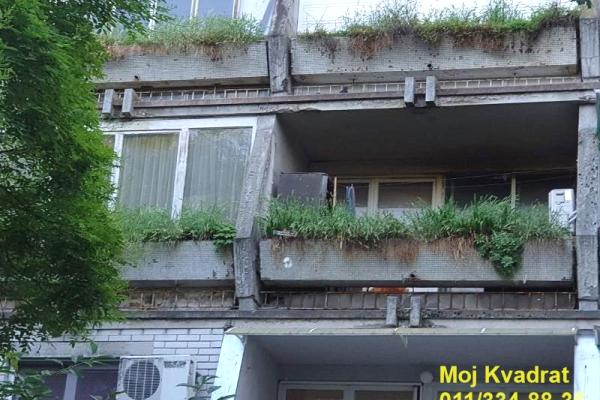 prodaja, stanova,
blok-45-tc-enjub-novi-beograd-beograd, 450699, jednosoban-dr-ivana-ribara