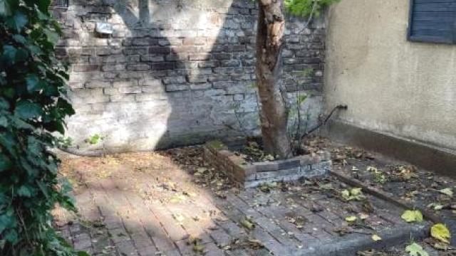 Kuća, Trosoban, Prodaja, 76m2, Krunska, Vračar, Braće Nedića
