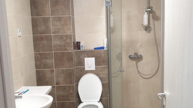 Stan, Dvosoban, Izdavanje, 57m2, Dragoslava Srejovića