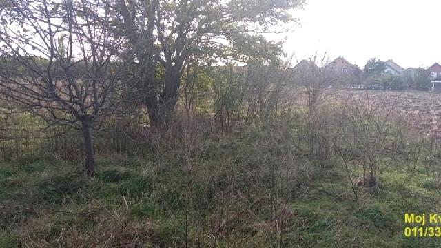 Plac, Prodaja, m2, Ugrinovci, Zemun, Kosančić Ivana