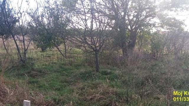 Plac, Prodaja, m2, Ugrinovci, Zemun, Kosančić Ivana