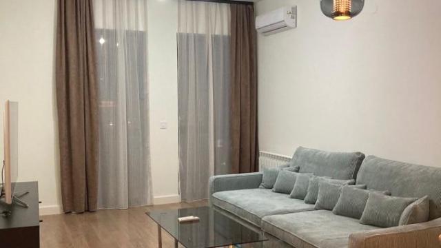 Stan, Dvosoban, Izdavanje, 55m2, Beograd na vodi, Savski venac, Bulevar Vudroa Vilsona