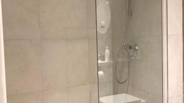 Stan, Dvosoban, Izdavanje, 55m2, Beograd na vodi, Savski venac, Bulevar Vudroa Vilsona