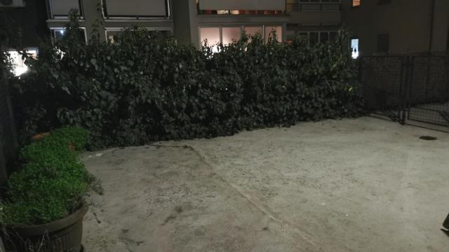 Stan, Jednoiposoban, Izdavanje, 35m2, Hram svetog Save, Vračar, Stojana Protića