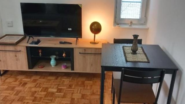 Stan, Jednosoban, Izdavanje, 30m2, Crveni krst, Vračar, Tome Maksimovića