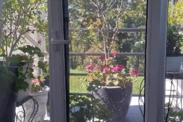 prodaja, kuca,
dedinje-savski-venac-beograd, 477197, kuca