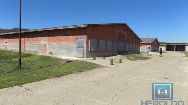 Poslovni prostor, Prodaja, 16723m2, Boljevac