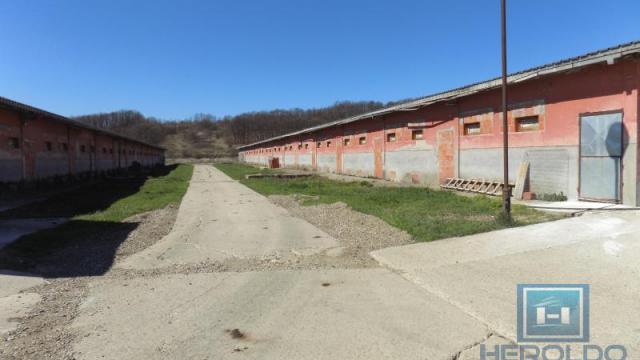 Poslovni prostor, Prodaja, 16723m2, Boljevac