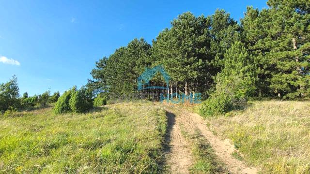 Plac, Prodaja, m2, Irig