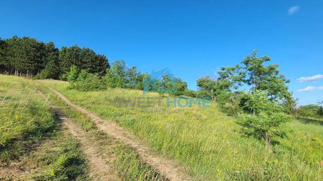 Plac, Prodaja, m2, Irig