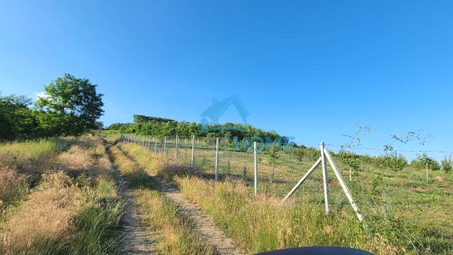 Plac, Prodaja, m2, Irig