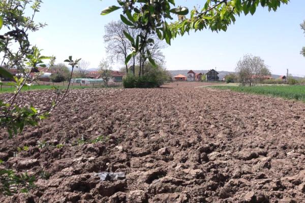 prodaja, kuca,
kocino-selo-opstina-jagodina, 477501, dvosoban