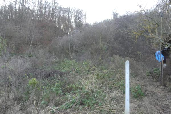 prodaja, plac,
novo-laniste-opstina-jagodina, 477439, plac