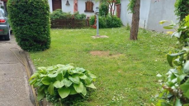 Kuća, četvorosoban, Prodaja, 250m2, Centar, Gradska lokacija, Sombor