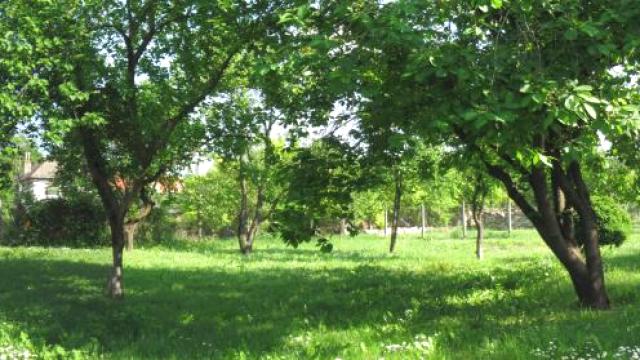 Kuća, Prodaja, 291m2, Centar, Gradska lokacija, Sombor