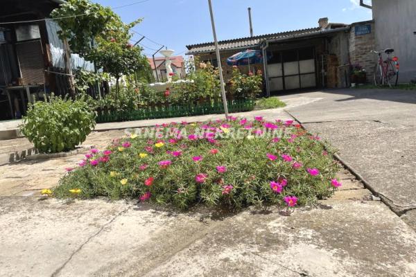 prodaja, kuca,
selenca-grad-sombor, 476964, kuca