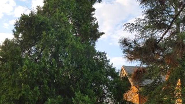 Kuća, Prodaja, 296m2, Selenča, Gradska lokacija, Sombor