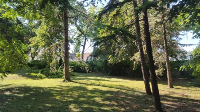 Kuća, Prodaja, 296m2, Selenča, Gradska lokacija, Sombor