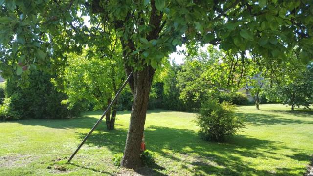 Kuća, Prodaja, 296m2, Selenča, Gradska lokacija, Sombor
