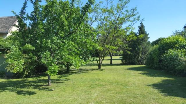 Kuća, Prodaja, 296m2, Selenča, Gradska lokacija, Sombor