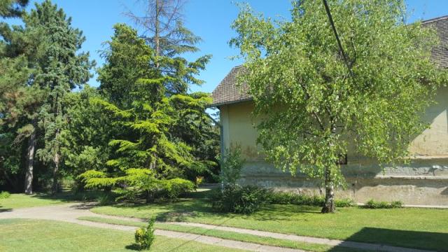Kuća, Prodaja, 296m2, Selenča, Gradska lokacija, Sombor