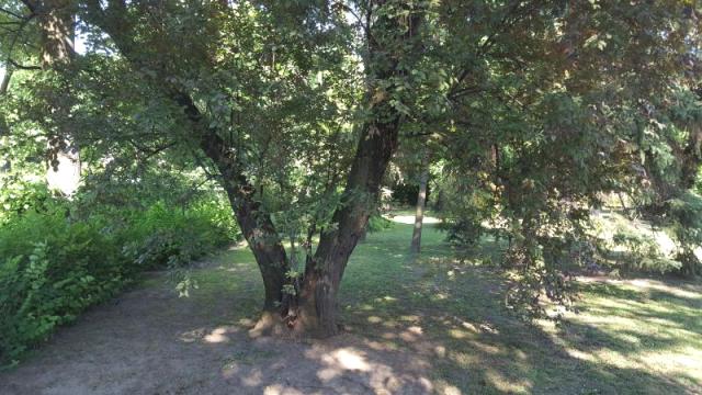 Kuća, Prodaja, 296m2, Selenča, Gradska lokacija, Sombor